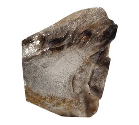 Protector alligatorkwarts met rutiel sculptuur | 1014 gram