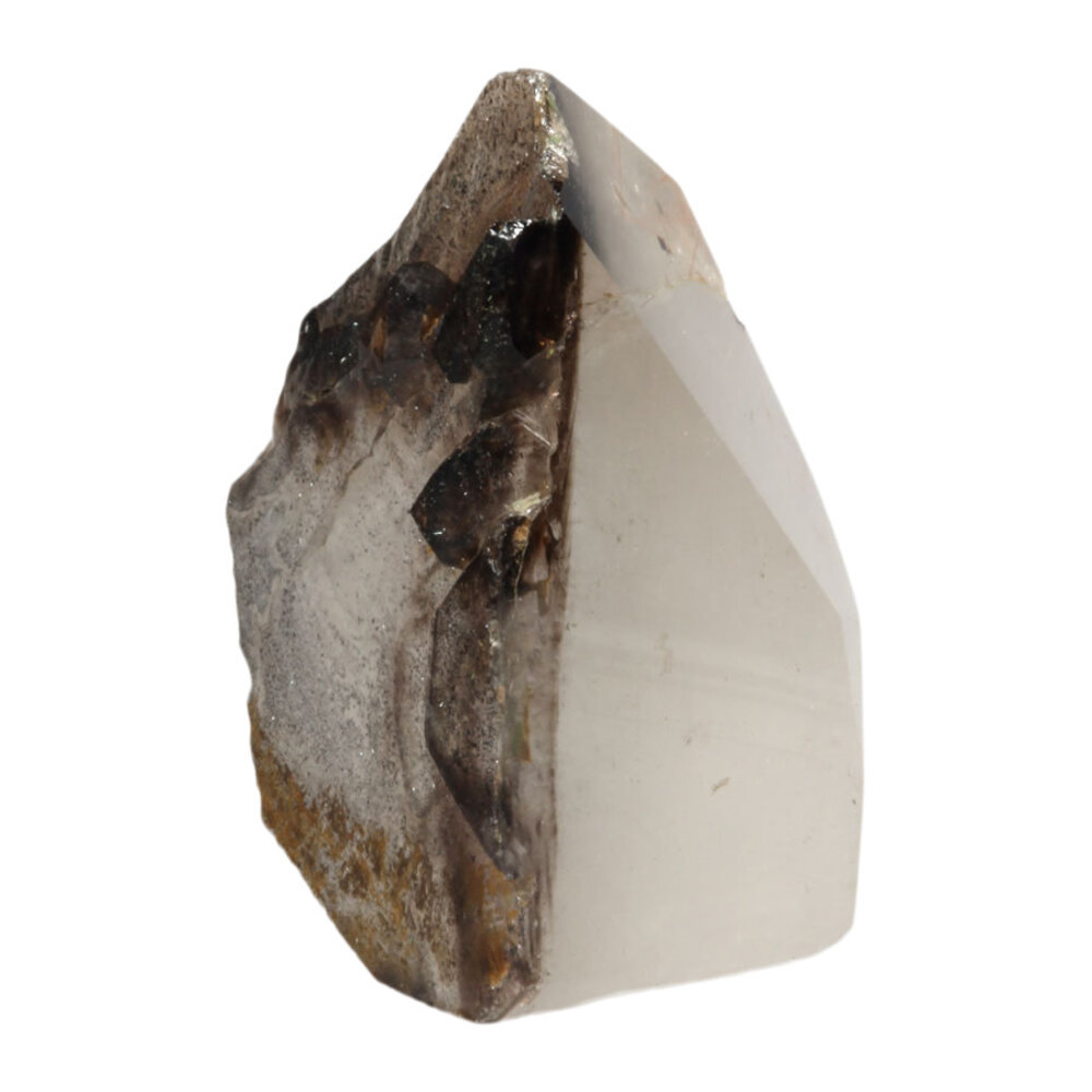 Protector alligatorkwarts met rutiel sculptuur | 1014 gram