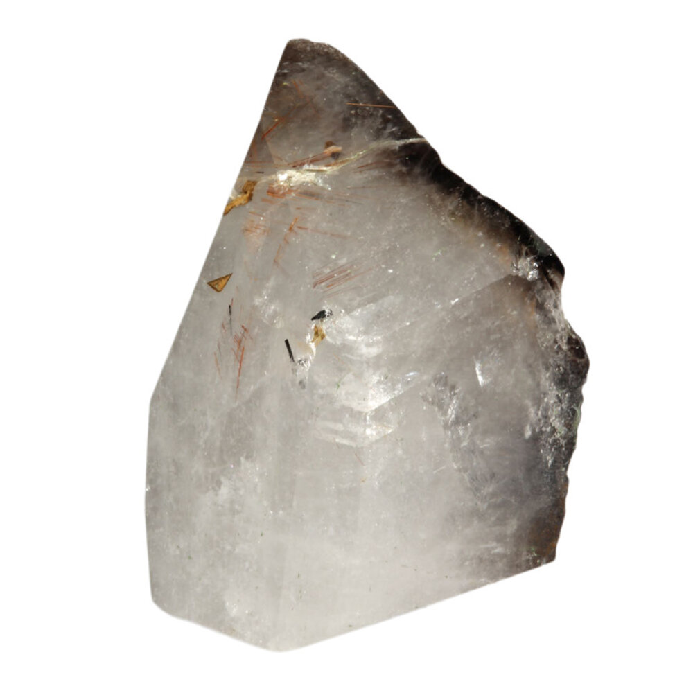 Protector alligatorkwarts met rutiel sculptuur | 1014 gram