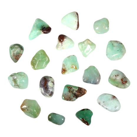 Chrysopraas steen getrommeld | klein (S) Chrysopraas steen getrommeld | klein (S)