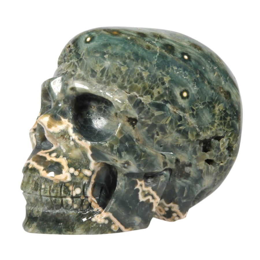 Jaspis oceaan schedel 10 x 13,5 x 8 cm | 1621 gram