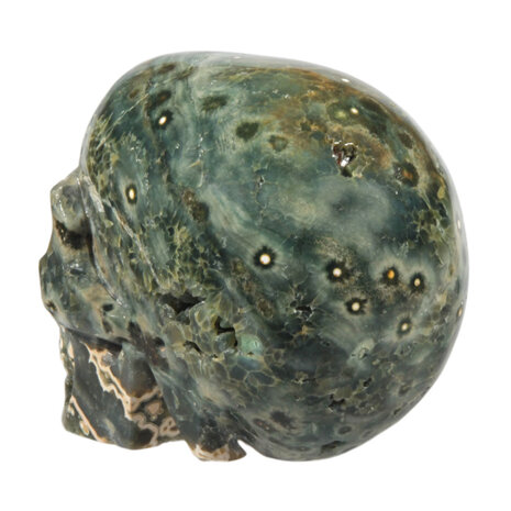 Jaspis oceaan kristallen schedel 10 x 13,5 x 8 cm | 1621 gram Jaspis oceaan kristallen schedel 10 x 13,5 x 8 cm | 1621 gram