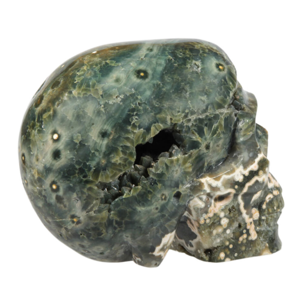Jaspis oceaan kristallen schedel 10 x 13,5 x 8 cm | 1621 gram Jaspis oceaan kristallen schedel 10 x 13,5 x 8 cm | 1621 gram