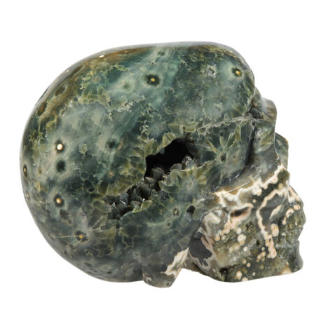 Jaspis oceaan kristallen schedel 10 x 13,5 x 8 cm | 1621 gram Jaspis oceaan kristallen schedel 10 x 13,5 x 8 cm | 1621 gram