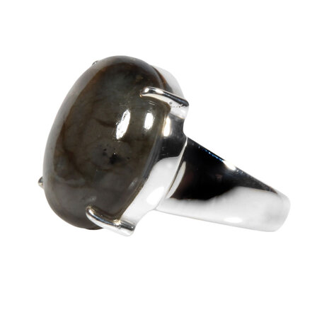 Zilveren ring labradoriet maat 18 1/2 | rond gezet 2 cm