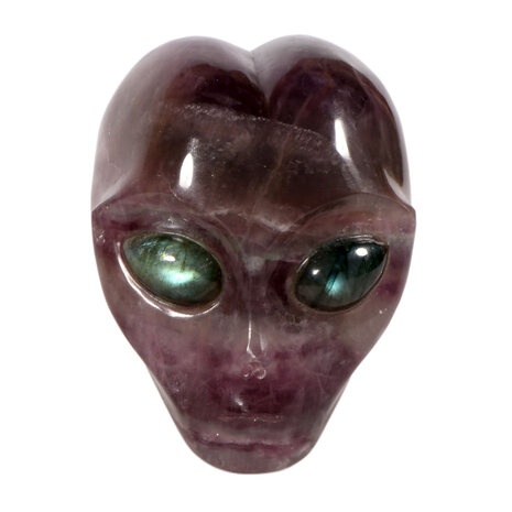 Fluoriet alien schedel 7,5 x 6 x 7,5 cm | 720 gram Fluoriet alien schedel 7,5 x 6 x 7,5 cm | 720 gram