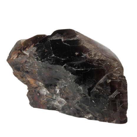 Rookkwarts (Morion) alligator kristal staand geslepen | 2949 gram Rookkwarts (Morion) alligator kristal staand geslepen | 2949 gram