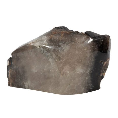 Rookkwarts (Morion) alligator kristal staand geslepen | 2949 gram Rookkwarts (Morion) alligator kristal staand geslepen | 2949 gram