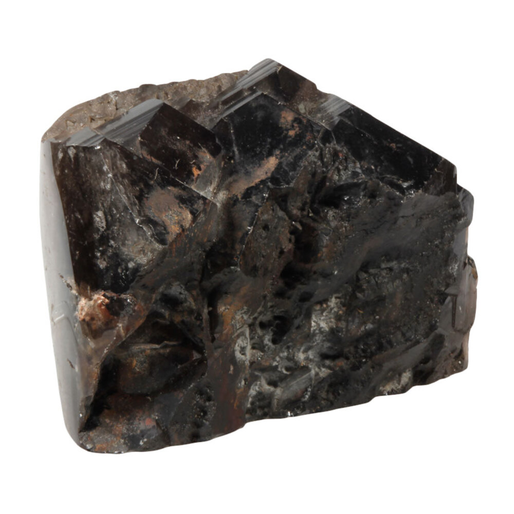 Rookkwarts (Morion) alligator kristal staand geslepen | 2949 gram Rookkwarts (Morion) alligator kristal staand geslepen | 2949 gram