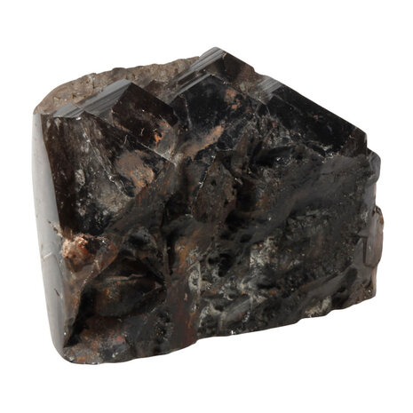 Rookkwarts (Morion) alligator kristal staand geslepen | 2949 gram Rookkwarts (Morion) alligator kristal staand geslepen | 2949 gram