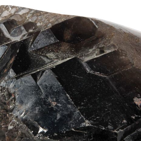 Rookkwarts (Morion) alligator kristal staand geslepen | 2949 gram Rookkwarts (Morion) alligator kristal staand geslepen | 2949 gram