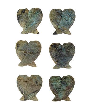 Labradoriet engelenvleugels 5 x 4,8 cm Labradoriet engelenvleugels 5 x 4,8 cm