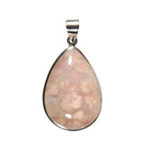 Bloemagaat Bloemagaat