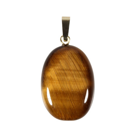 Tijgeroog hanger ovaal met 14k gouden oogje