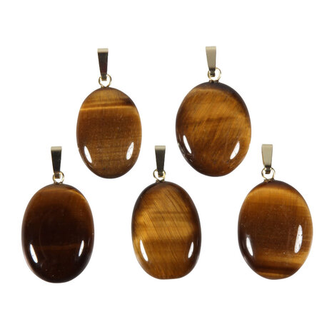 Tijgeroog hanger ovaal met 14k gouden oogje