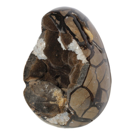 Septarie edelsteen ei 25,5 x 17,5 x 16 cm | 8140 gram Septarie edelsteen ei 25,5 x 17,5 x 16 cm | 8140 gram
