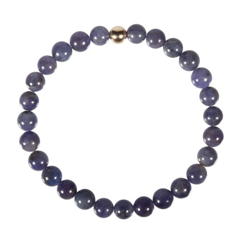 Tanzaniet armband met 14k gouden kraal | 7 mm