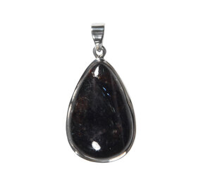 Zilveren hanger astrofylliet | druppel 3,3 x 2,1 cm Zilveren hanger astrofylliet | druppel 3,3 x 2,1 cm