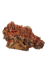 Crocoiet cluster 6,8 x 6 x 4,2 cm | 65 gram