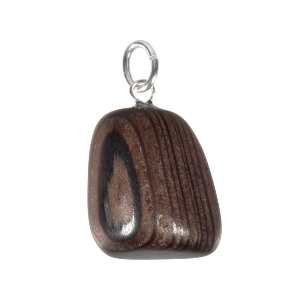 Versteend hout (mammoetboom) hanger met zilveren oogje