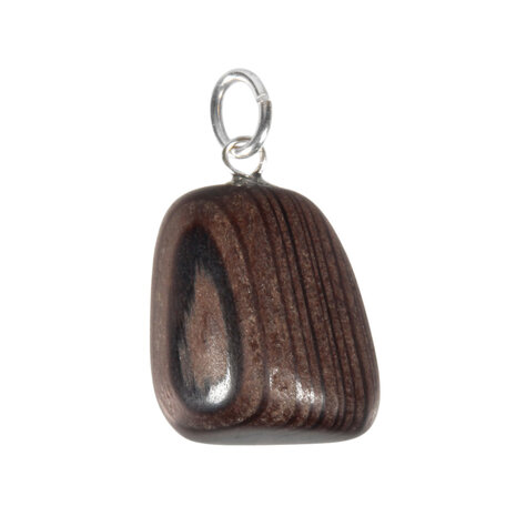 Versteend hout (mammoetboom) hanger met zilveren oogje