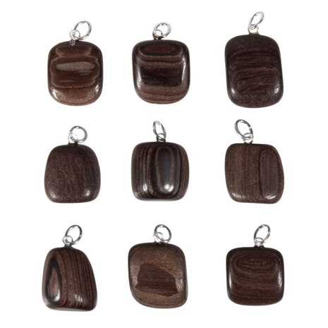 Versteend hout (mammoetboom) hanger met zilveren oogje