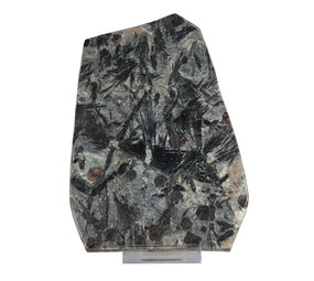 Granaat met hoornblende schijf 20 x 14 x 1 cm | op standaard Granaat met hoornblende schijf 20 x 14 x 1 cm | op standaard