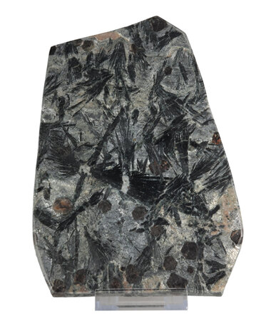 Granaat met hoornblende schijf 20 x 14 x 1 cm | op standaard Granaat met hoornblende schijf 20 x 14 x 1 cm | op standaard