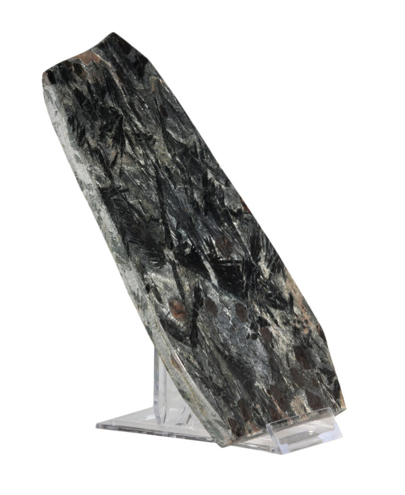 Granaat met hoornblende schijf 20 x 14 x 1 cm | op standaard Granaat met hoornblende schijf 20 x 14 x 1 cm | op standaard