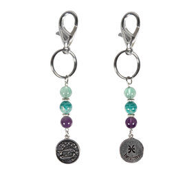 Sleutel- of tashanger sterrenbeeld vissen