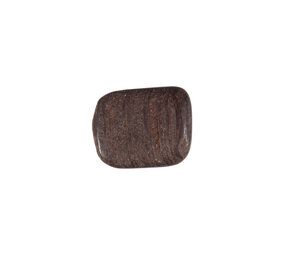 Versteend hout steen getrommeld 2 - 5 gram Versteend hout steen getrommeld 2 - 5 gram