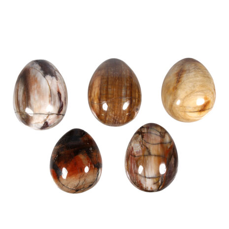 Versteend hout edelsteen ei 5,7 x 4,4 cm tot 6,9 x 4,9 cm