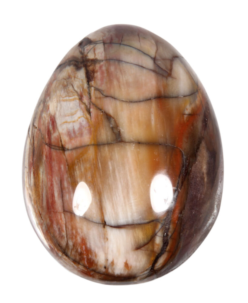 Versteend hout edelsteen ei 5,7 x 4,4 cm tot 6,9 x 4,9 cm