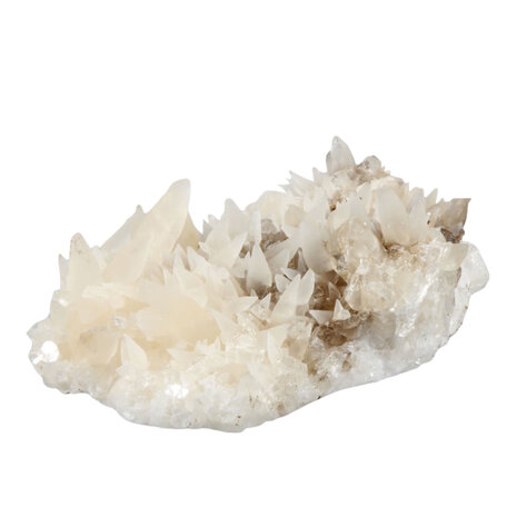 Calciet (hondentand) cluster 12 x 8 x 4,5 cm | 476 gram