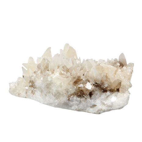 Calciet (hondentand) cluster 12 x 8 x 4,5 cm | 476 gram