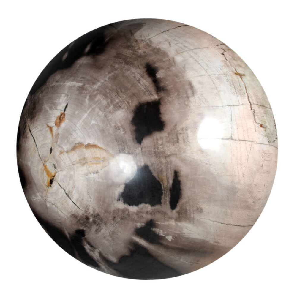 Versteend hout bol 250 mm | 18500 gram Versteend hout bol 250 mm | 18500 gram