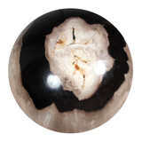 Versteend hout bol 250 mm | 18500 gram Versteend hout bol 250 mm | 18500 gram