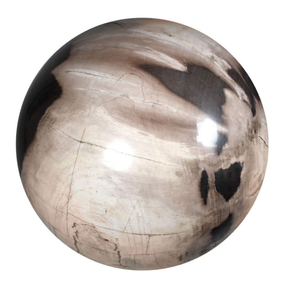 Versteend hout bol 250 mm | 18500 gram Versteend hout bol 250 mm | 18500 gram