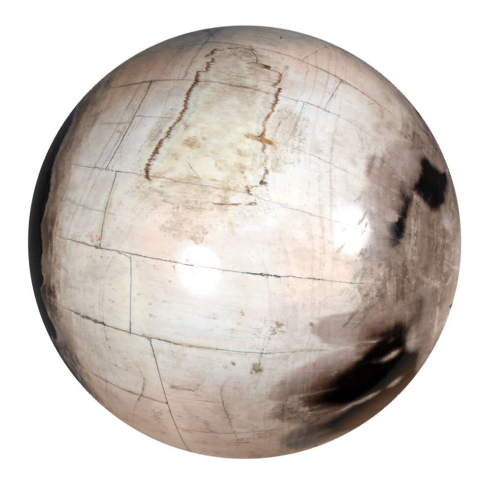 Versteend hout bol 250 mm | 18500 gram Versteend hout bol 250 mm | 18500 gram