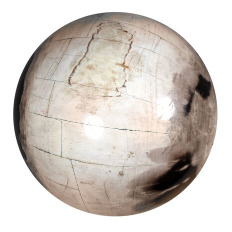 Versteend hout bol 250 mm | 18500 gram Versteend hout bol 250 mm | 18500 gram