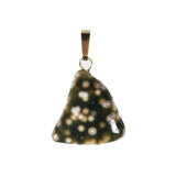 Jaspis (oceaan) hanger met 14k gouden oogje Jaspis (oceaan) hanger met 14k gouden oogje
