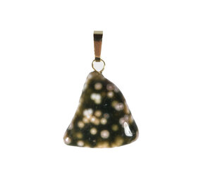 Jaspis (oceaan) hanger met 14k gouden oogje Jaspis (oceaan) hanger met 14k gouden oogje