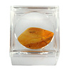 Barnsteen met insect gepolijst 0,2 - 0,35 gram Barnsteen met insect gepolijst 0,2 - 0,35 gram