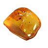 Barnsteen met insect gepolijst 0,2 - 0,35 gram Barnsteen met insect gepolijst 0,2 - 0,35 gram
