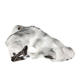 Heksensteen (vuursteen) ruw 21 x 11,5 x 8,5 cm | 1500 gram