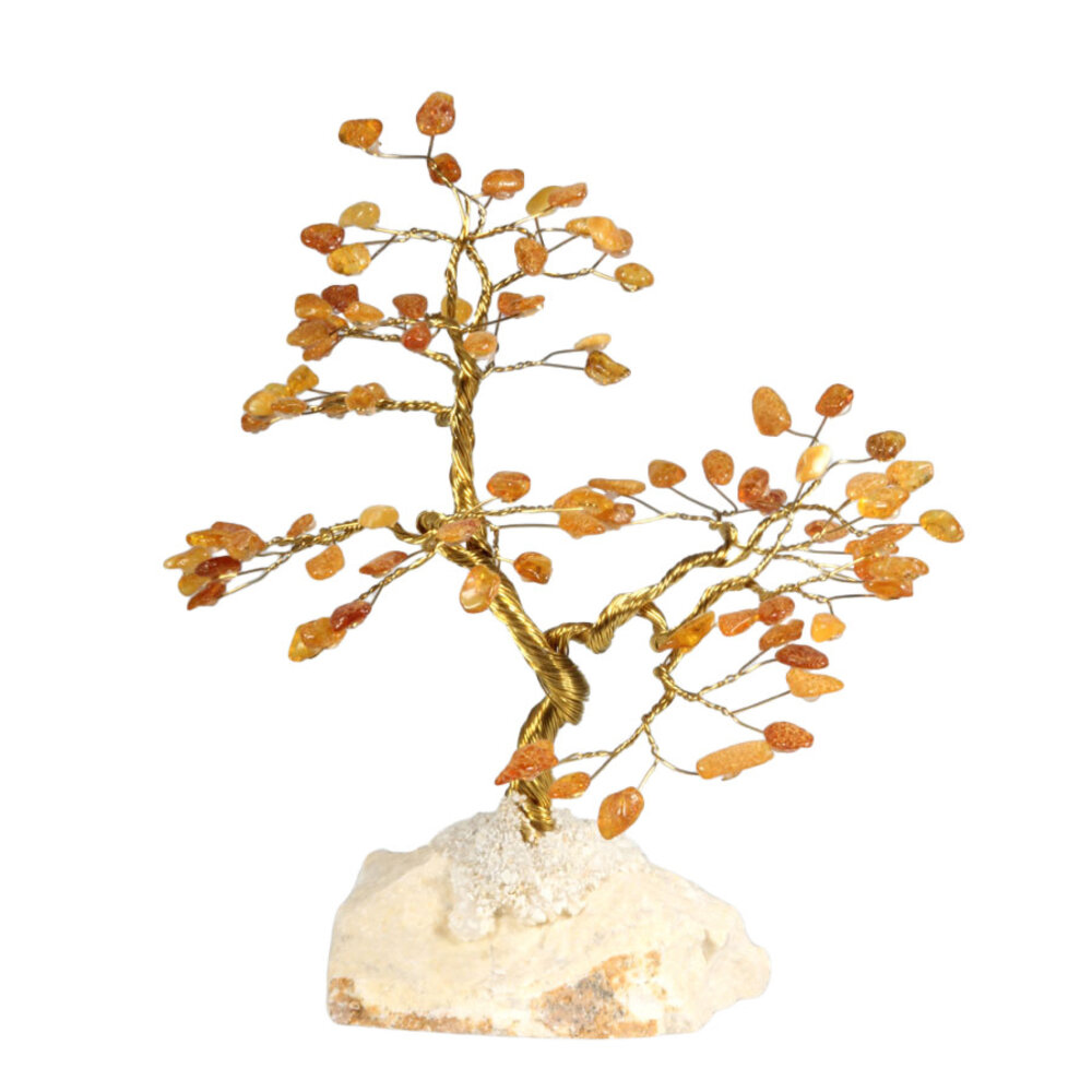 Barnsteen edelsteen boompje op steen Barnsteen edelsteen boompje op steen