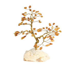 Barnsteen edelsteen boompje op steen