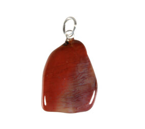 Versteend hout hanger met zilveren oogje Versteend hout hanger met zilveren oogje