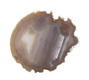 Agaat schijf gepolijst 17,5 x 20 x 0,4 cm | 323 gram Agaat schijf gepolijst 17,5 x 20 x 0,4 cm | 323 gram