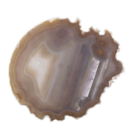 Agaat schijf gepolijst 17,5 x 20 x 0,4 cm | 323 gram Agaat schijf gepolijst 17,5 x 20 x 0,4 cm | 323 gram